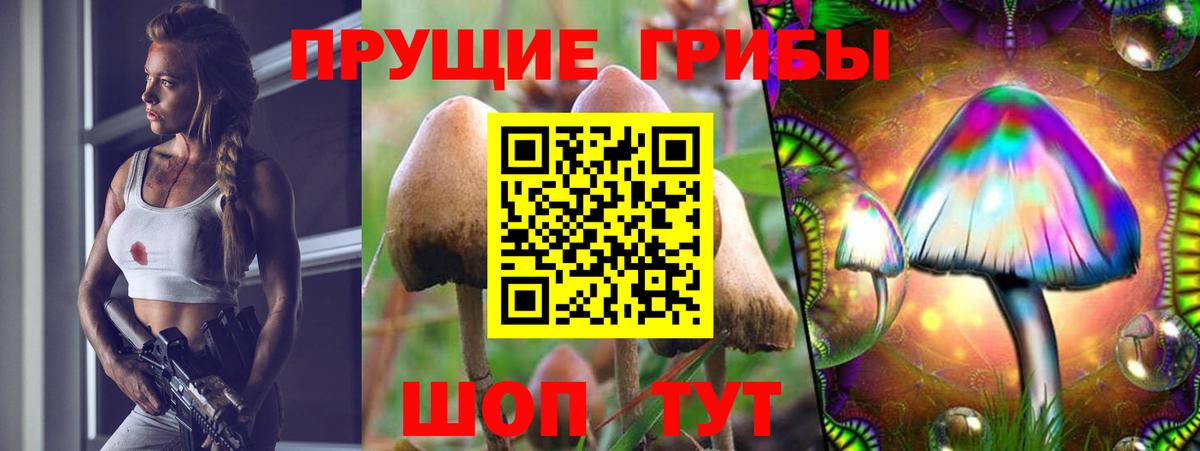 Галлюциногенные грибы мицелий Южно-Сахалинск